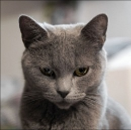 ulli301s Profil