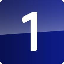 Level 1