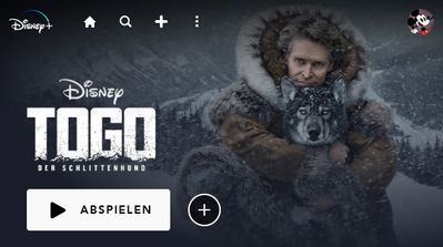 Togo: Der Schlittenhund