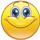smilie-gross.gif