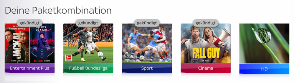 Bildschirmfoto 2024-11-16 um 20.38.46.png