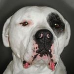 PascalRoth0815s Profil