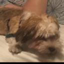 robert_heitzings Profil