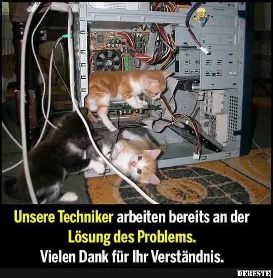 Katzentechniker.jpg