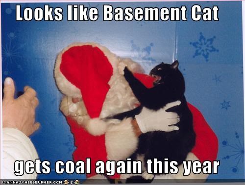lolcat-basement-cat-attacks-santa-gets-coal-again-this-year.jpg